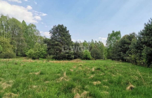 Dąbrowa, gmina Polkowice, działka budowlana, 13200 m2, sprzedaż, 594 000 zł.  
  
Na sprzedaż grunt budowlany w miejscowości Dą