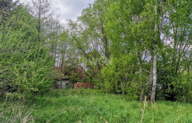 Dąbrowa, gmina Polkowice, działka budowlana, 1000 m2, sprzedaż, 45000 zł.  
  
Na sprzedaż grunt budowlany w miejscowości Dąbro