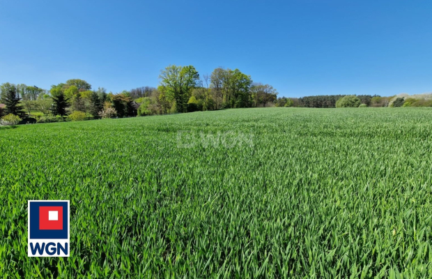 Sobolice, gmina Bytom Odrzański, działka, sprzedam, 3000 m2, 130 000 zł.  
 
Na sprzedaż działka położona w miejscowości Soboli