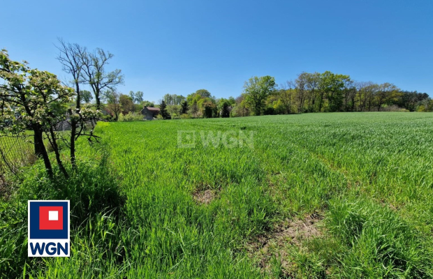 Sobolice, gmina Bytom Odrzański, działka, sprzedam, 3000 m2, 130 000 zł.  
 
Na sprzedaż działka położona w miejscowości Soboli