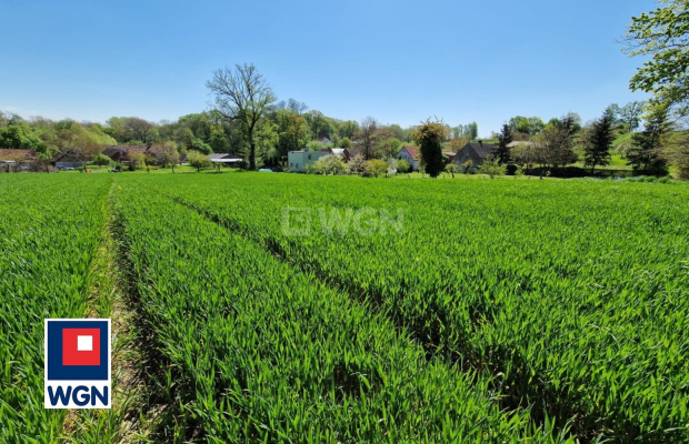 Sobolice, gmina Bytom Odrzański, działka, sprzedam, 3000 m2, 130 000 zł.  
 
Na sprzedaż działka położona w miejscowości Soboli