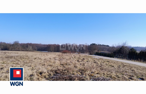 Guzice, gmina Polkowice, działka, 1000 m2, sprzedaż, 120000 zł. 
 
Na sprzedaż grunt budowlany w miejscowości Guzice, w gminie 