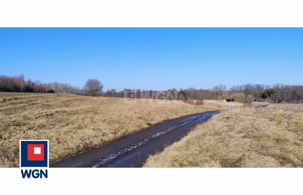 Guzice, gmina Polkowice, działka, 1000 m2, sprzedaż, 120000 zł. 
 
Na sprzedaż grunt budowlany w miejscowości Guzice, w gminie 