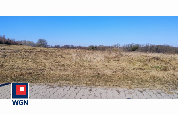 Guzice, gmina Polkowice, działka, 1000 m2, sprzedaż, 120000 zł. 
 
Na sprzedaż grunt budowlany w miejscowości Guzice, w gminie 