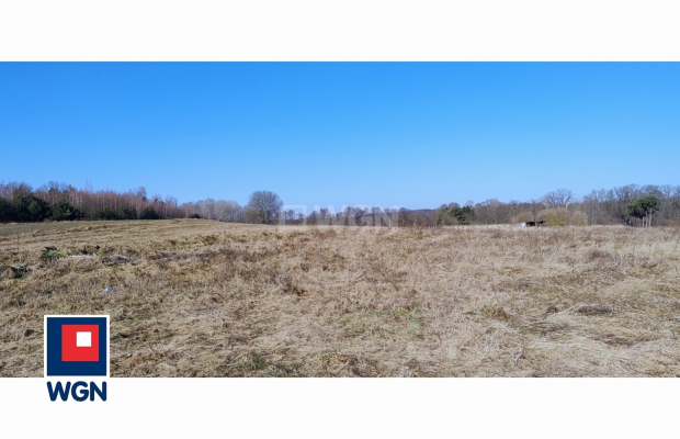 Guzice, gmina Polkowice, działka, 1000 m2, sprzedaż, 120000 zł. 
 
Na sprzedaż grunt budowlany w miejscowości Guzice, w gminie 