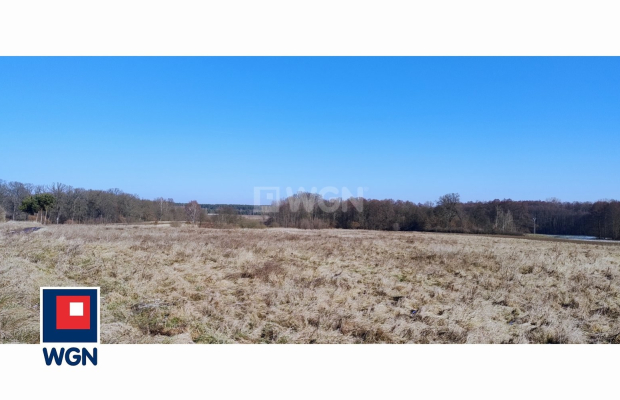 Guzice, gmina Polkowice, działka, 1000 m2, sprzedaż, 120000 zł. 
 
Na sprzedaż grunt budowlany w miejscowości Guzice, w gminie 