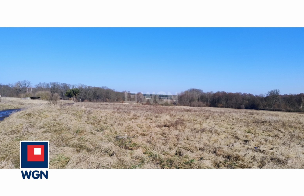 Guzice, gmina Polkowice, działka, 1000 m2, sprzedaż, 120000 zł. 
 
Na sprzedaż grunt budowlany w miejscowości Guzice, w gminie 