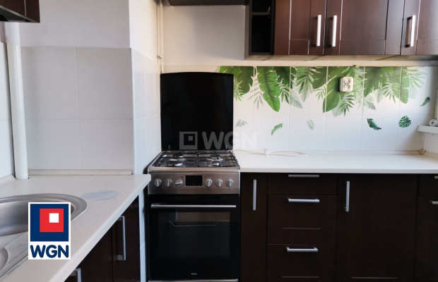 Polkowice, 2 pokoje, 3 piętro, wynajmę, 39 m2, 1700 zł miesięcznie.  
  
Oferta wyłącznie w WGN Polkowice.  
  
Dostępne od zar