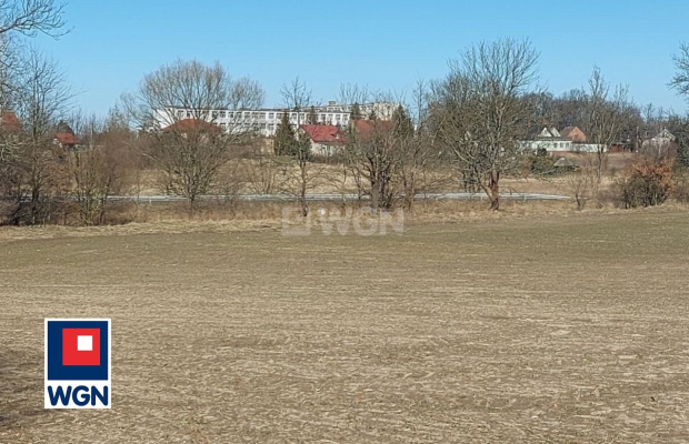 Szprotawa, grunt inwestycyjny, 84 ar, cena 220 000 zł, sprzedam.  
  
Na sprzedaż atrakcyjna działka zlokalizowana w Henrykowie