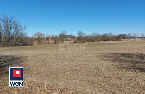 Szprotawa, grunt inwestycyjny, 84 ar, cena 220 000 zł, sprzedam.  
  
Na sprzedaż atrakcyjna działka zlokalizowana w Henrykowie