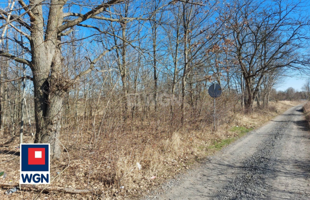 Szprotawa, grunt inwestycyjny, 84 ar, cena 220 000 zł, sprzedam.  
  
Na sprzedaż atrakcyjna działka zlokalizowana w Henrykowie