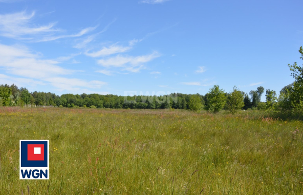 Krzywczyce, działka, 3000 m2, cena 50 000 zł, sprzedam.  
  
Na sprzedaż działka bez wydanych warunków zabudowy, zlokalizowana 