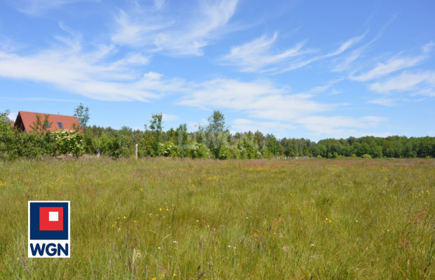 Krzywczyce, działka, 3000 m2, cena 50 000 zł, sprzedam.  
  
Na sprzedaż działka bez wydanych warunków zabudowy, zlokalizowana 