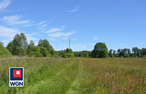 Krzywczyce, działka, 3000 m2, cena 50 000 zł, sprzedam.  
  
Na sprzedaż działka bez wydanych warunków zabudowy, zlokalizowana 