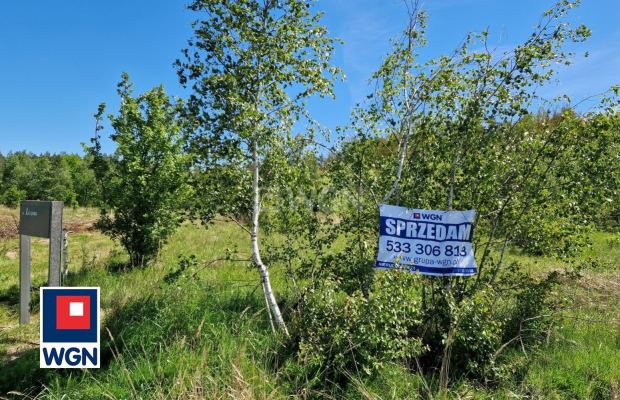 Nowa Kopernia, działka 1600 m2, cena 96 000 zł, sprzedam.  
  
Na sprzedaż działka budowlana w rejonie Szprotawa/Nowa Kopernia 