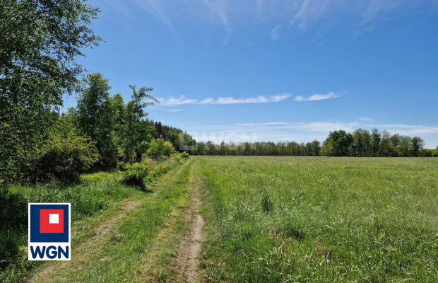 Nowa Kopernia, działka 1700 m2, cena 102 000 zł, sprzedam.  
  
Na sprzedaż działka budowlana w rejonie Szprotawa/Nowa Kopernia