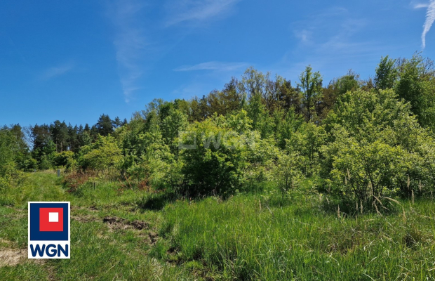 Nowa Kopernia, działka 1700 m2, cena 102 000 zł, sprzedam.  
  
Na sprzedaż działka budowlana w rejonie Szprotawa/Nowa Kopernia