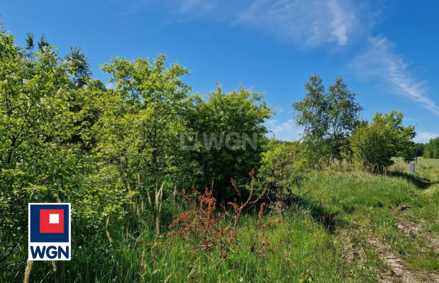 Nowa Kopernia, działka 1700 m2, cena 102 000 zł, sprzedam.  
  
Na sprzedaż działka budowlana w rejonie Szprotawa/Nowa Kopernia