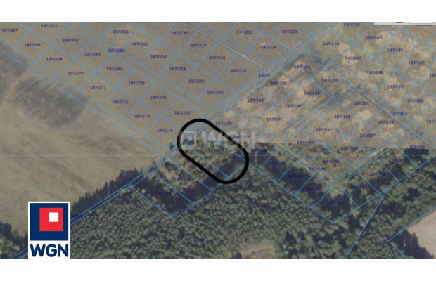 Nowa Kopernia, działka 1700 m2, cena 102 000 zł, sprzedam.  
  
Na sprzedaż działka budowlana w rejonie Szprotawa/Nowa Kopernia