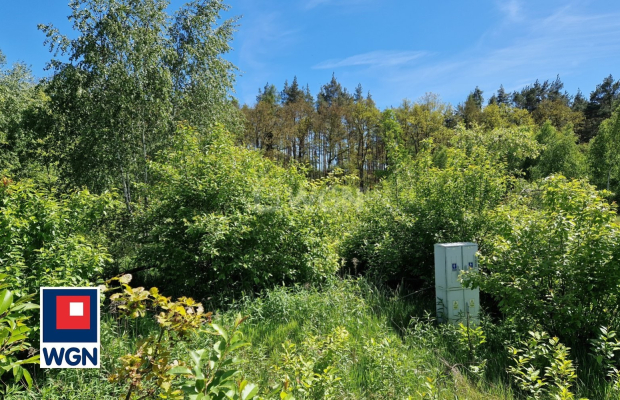 Nowa Kopernia, działka 1700 m2, cena 102 000 zł, sprzedam.  
  
Na sprzedaż działka budowlana w rejonie Szprotawa/Nowa Kopernia