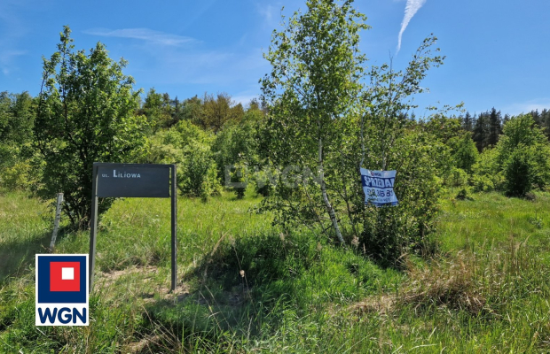 Nowa Kopernia, działka 1000 m2, cena 60 000 zł, sprzedam.  
  
Na sprzedaż działka budowlana w rejonie Szprotawa/Nowa Kopernia 