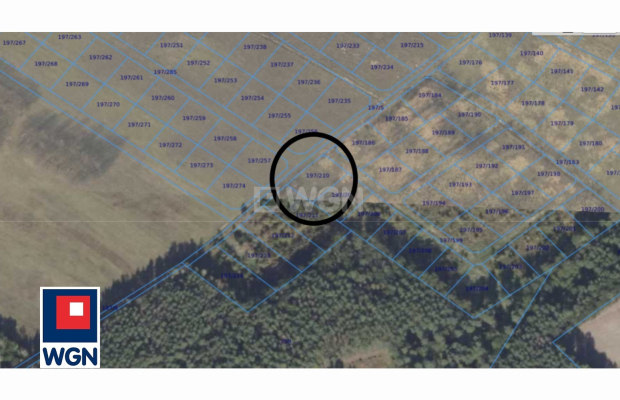 Nowa Kopernia, działka 1000 m2, cena 60 000 zł, sprzedam.  
  
Na sprzedaż działka budowlana w rejonie Szprotawa/Nowa Kopernia 