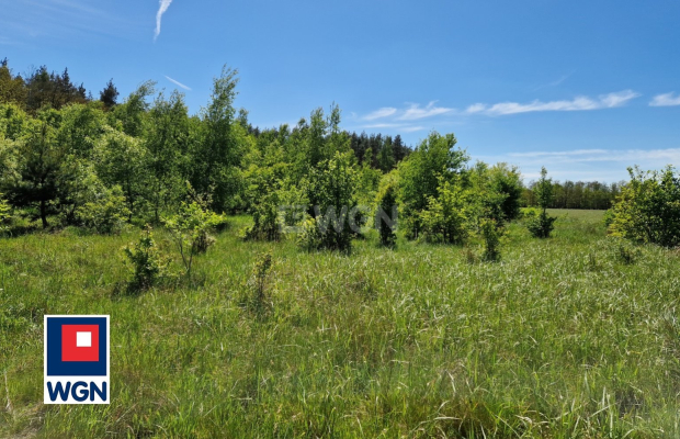 Nowa Kopernia, działka 1000 m2, cena 60 000 zł, sprzedam.  
  
Na sprzedaż działka budowlana w rejonie Szprotawa/Nowa Kopernia 