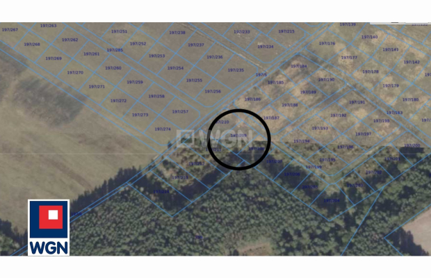 Nowa Kopernia, działka 1000 m2, cena 60 000 zł, sprzedam.  
  
Na sprzedaż działka budowlana w rejonie Szprotawa/Nowa Kopernia 