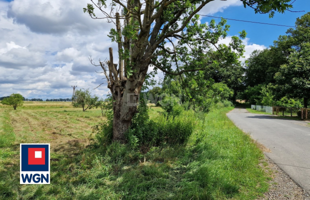 Wiechlice, działka budowlana, 1603 m2, cena 96 180 zł, sprzedam.  
  
Na sprzedaż działka nr 141/2, z wydanymi warunkami zabudo