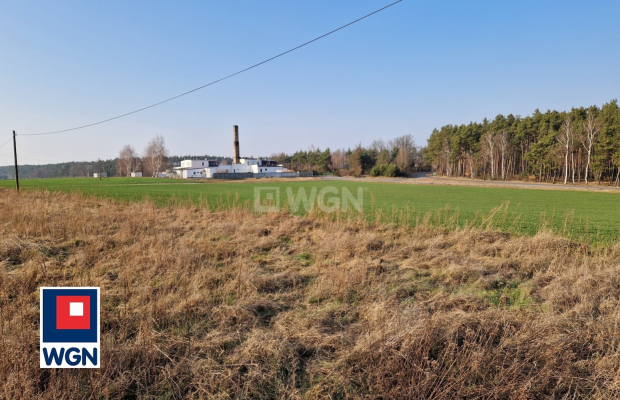 Rejów, działka z warunkami zabudowy, 1900 m2, cena 120 000 zł, sprzedam.  
  
Oferuję Państwu atrakcyjną działkę budowlaną, z w