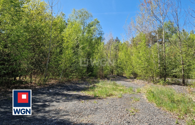 Wiechlice, schron 358 m2, działka 46 ar, cena 1 000 000 zł, sprzedam.  
  
Na sprzedaż działka inwestycyjna numer 425/1 o powie