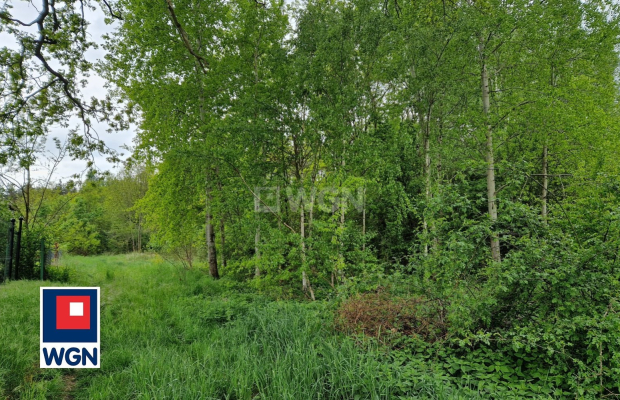 Małomice, działka budowlana 21 ar, cena 125 220 zł, sprzedam.  
  
Na sprzedaż działka budowlana nr 116 przy ulicy Pruszkowskie