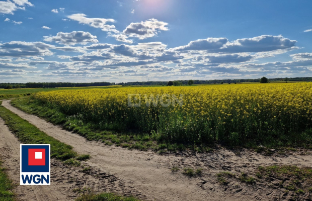 Dzikowice, działka budowlana 1114 m2, cena 66 840 zł, sprzedam.  
  
Na sprzedaż działka budowlana o powierzchni 11 ar, w spoko