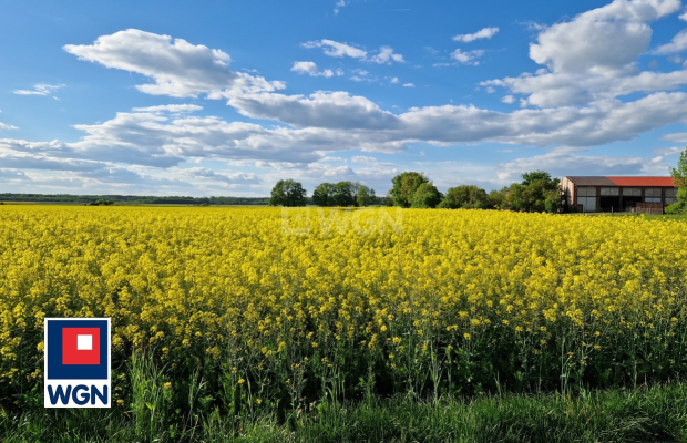 Dzikowice, działka budowlana 1114 m2, cena 66 840 zł, sprzedam.  
  
Na sprzedaż działka budowlana o powierzchni 11 ar, w spoko