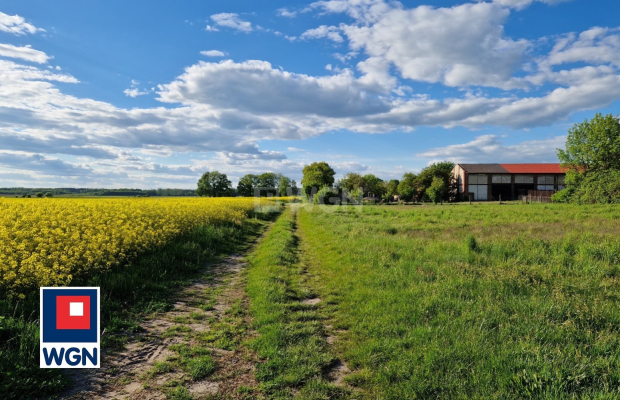 Dzikowice, działka budowlana 1114 m2, cena 66 840 zł, sprzedam.  
  
Na sprzedaż działka budowlana o powierzchni 11 ar, w spoko