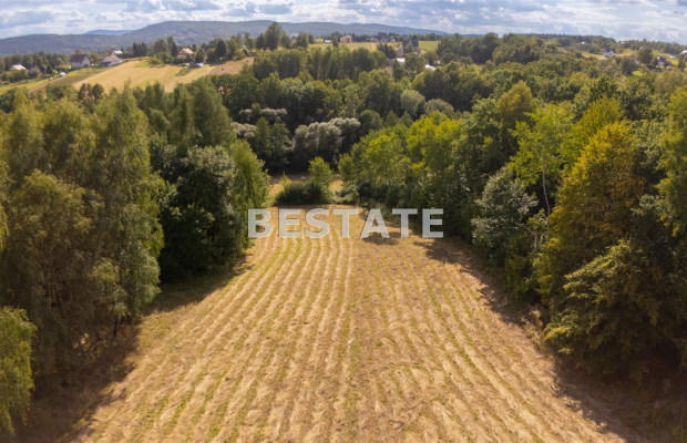 Sielski Azyl 1,47 ha w Lewniowej k. Gnojnika - Idealna Działka pod Dom Marzeń z Ogrodem i Widokami!  

 Jako agent nieruchomośc