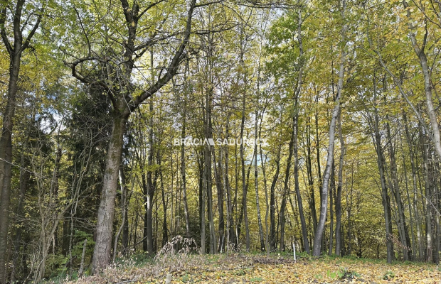 Atrakcyjna działka budowlana Włosań gm. MOGILANY