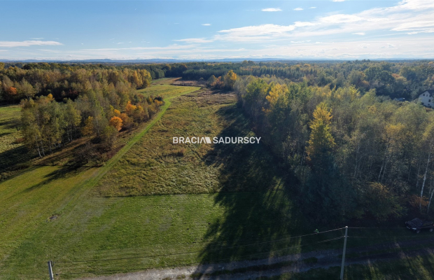 Działka budowlana o powierzchni  44 arów  położona w  Buczkowie, gmina Rzezawa, powiat bocheński  - idealna enklawa do budowy d