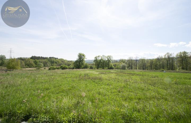 Nowy Bliźniak- Świebodzice ze strefą SPA