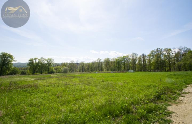 Nowy Bliźniak- Świebodzice ze strefą SPA