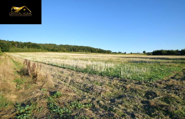 Działka 9ha - pod Ślężą