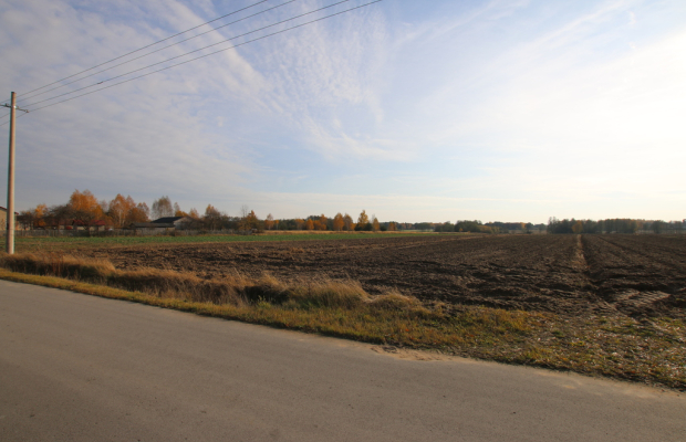 Działka rolno budowlana 65ar Sobolew Kol g. Firlej