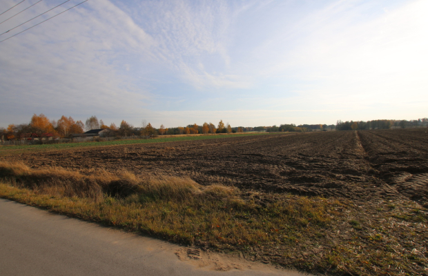 Działka rolno budowlana 65ar Sobolew Kol g. Firlej