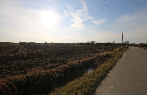 Działka rolno budowlana 65ar Sobolew Kol g. Firlej