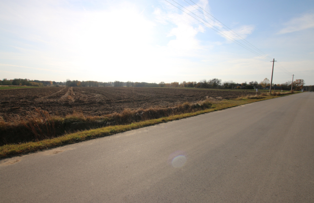 Działka rolno budowlana 65ar Sobolew Kol g. Firlej