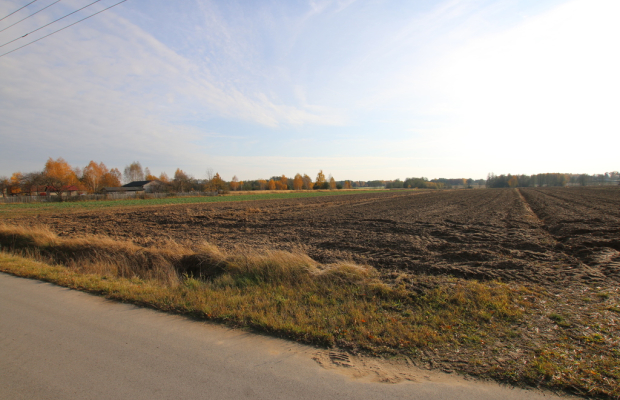 Działka rolno budowlana 65ar Sobolew Kol g. Firlej