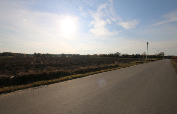 Działka rolno budowlana 65ar Sobolew Kol g. Firlej