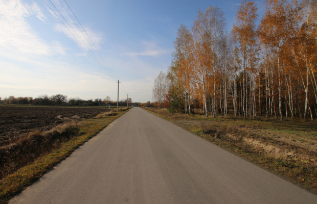 Działka rolno budowlana 65ar Sobolew Kol g. Firlej