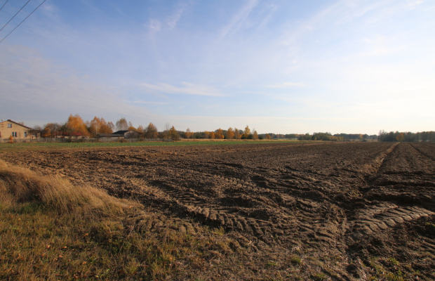 Działka rolno budowlana 65ar Sobolew Kol g. Firlej