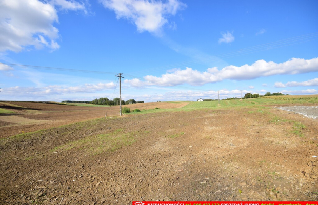 5 działek budowlanych blisko Lublina, wydane WZ.